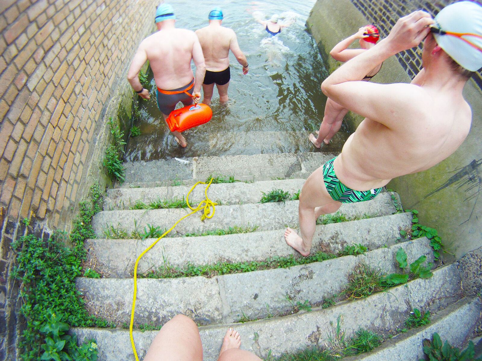 Tidal River Swim Totally Thames Thames Festival Trust